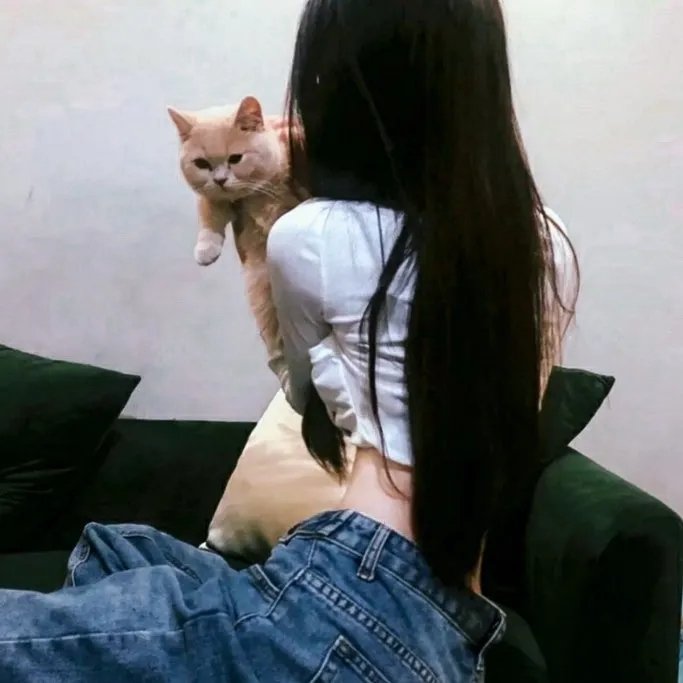 迷失之地 在线观看